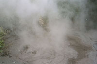 travel - 2005-2-nzl